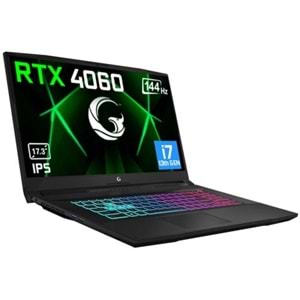 GAMEGARAJ SLAYER3 7XL-4060 C1 i7-13700H 16GB 1TB RTX4060 17.3