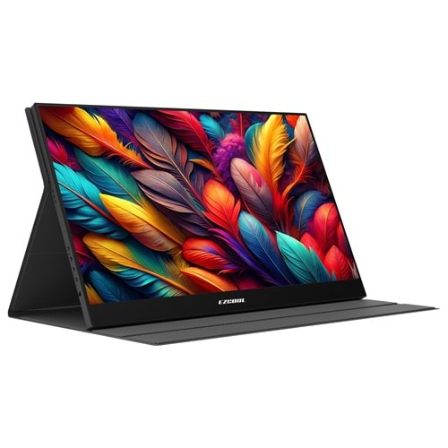 MONITOR EZCOOL LITE E15 15.6