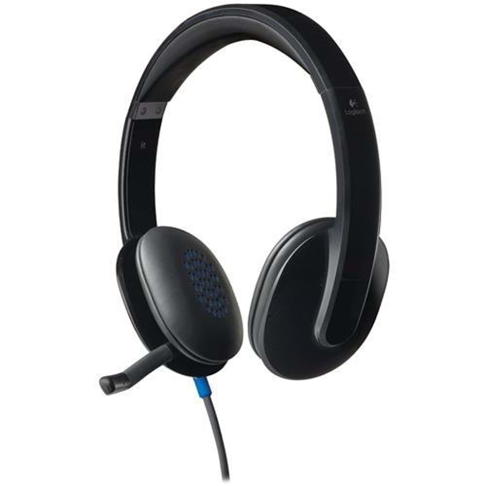 Kulaklık Logitech H540 Usb Siyah 981-000480