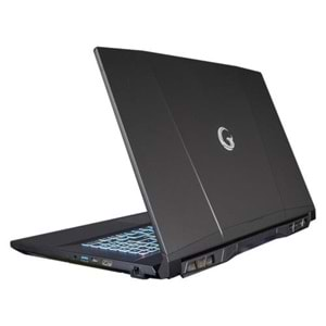 GAMEGARAJ SLAYER2 D5 7XL-3060 C1 i7-12700H 16GB 500GB RTX3060 17.3